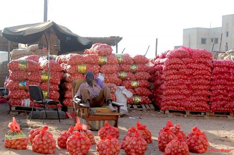 MARCHÉ DE L\'OIGNON : Le gouvernement lève le gel des importations pour stabiliser les prix et l\'approvisionnement