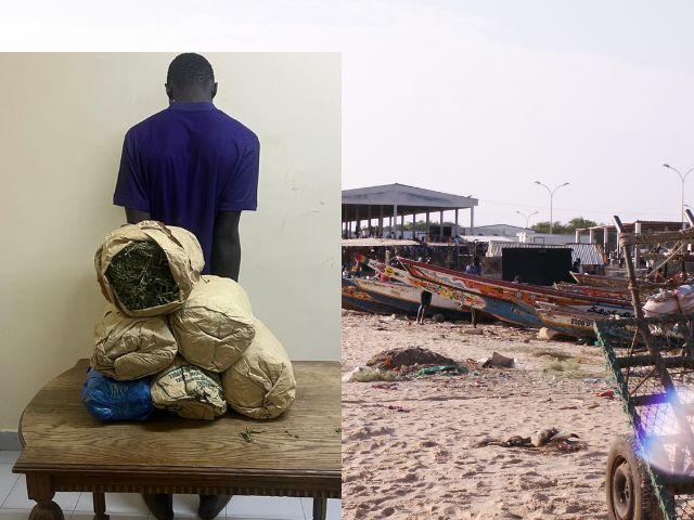 Saly-Portudal : Saisie de 6 kg de chanvre indien et arrestation d’un présumé trafiquant