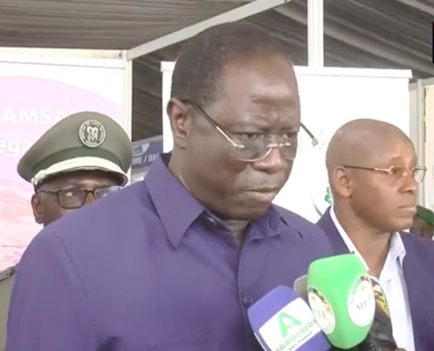 Daouda Ngom: 