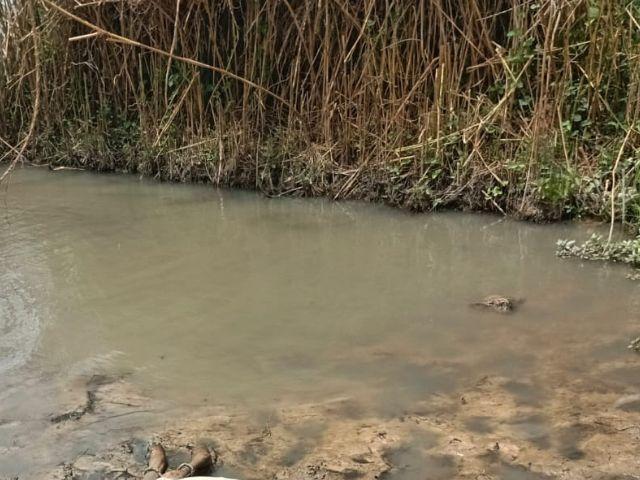 Chavirement tragique sur le fleuve Sénégal : un septuagénaire perd la vie près de l\'île Bagdad