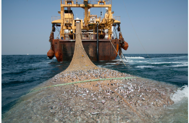 Le Ghana prend des mesures pour exclure la pêche industrielle destructrice de ses eaux côtières