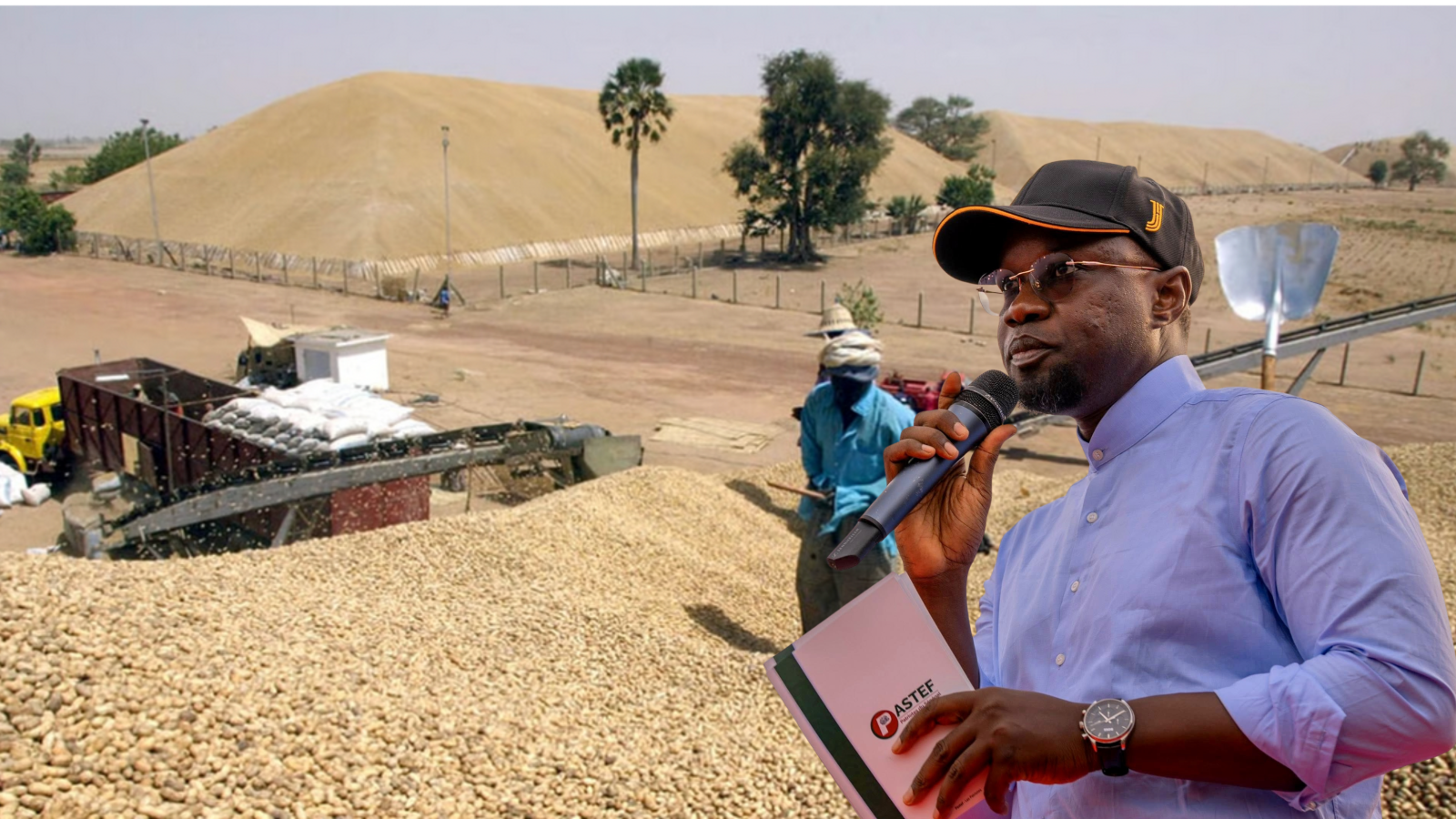 Kaolack : La promesse de Sonko aux agriculteurs