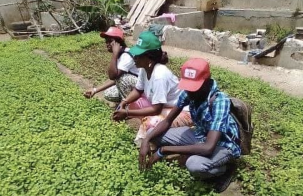 FEMME-AFFAIRE : sur le terrain, les femmes placent leurs espoirs dans une nouvelle dynamique d’autonomisation économique