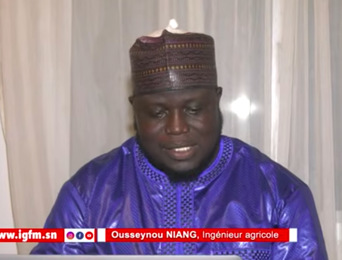 AGRICULTURE- Entretien avec Ousseynou Niang, ingénieur agricole