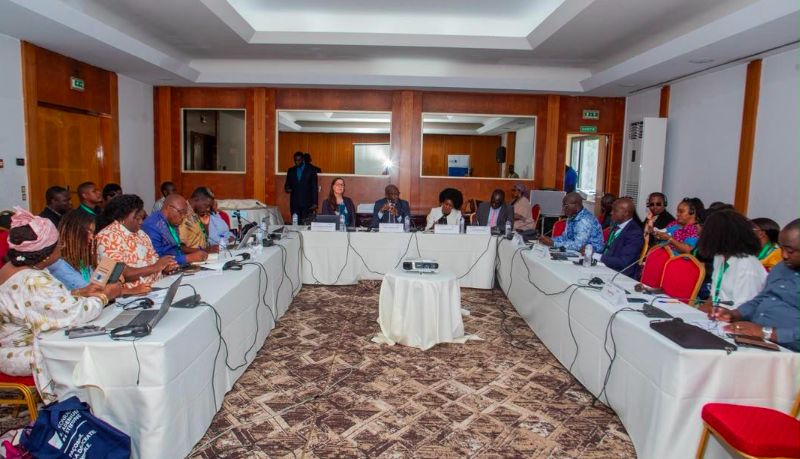 Crises en Afrique de l\'Ouest : la stabilité au bout de l’engagement